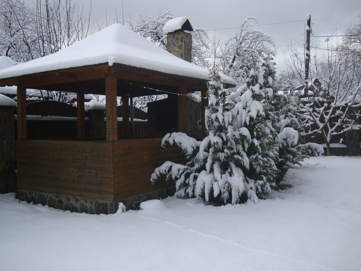 Дома для отпуска Villa VIP-Class Яремче