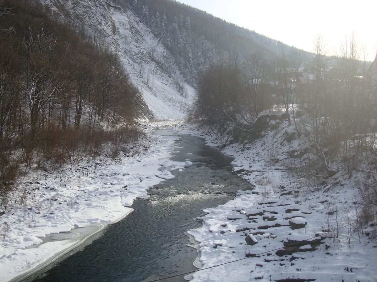 Дома для отпуска Villa VIP-Class Яремче