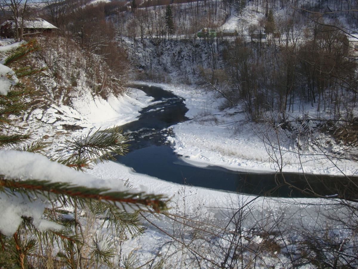 Дома для отпуска Villa VIP-Class Яремче