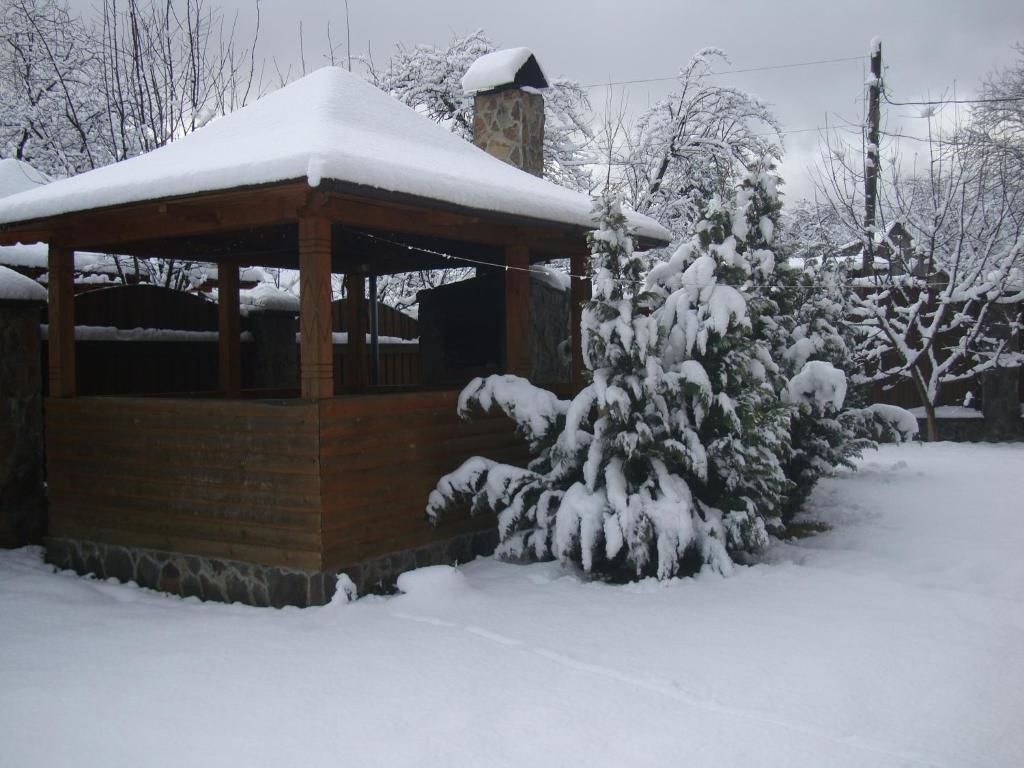 Дома для отпуска Villa VIP-Class Яремче