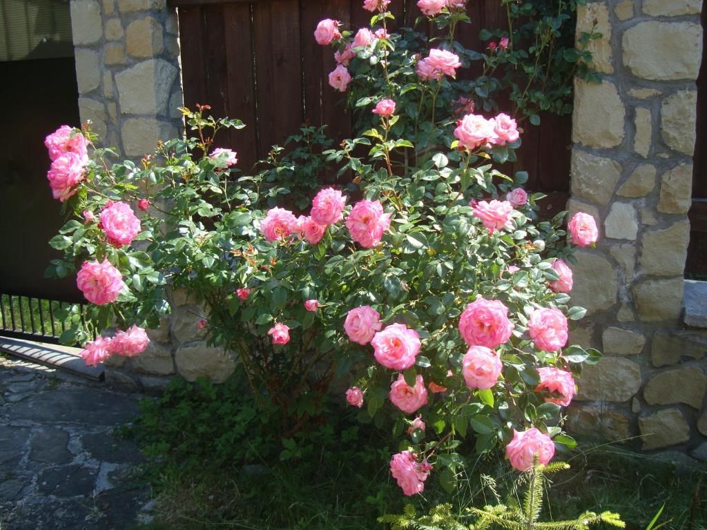 Дома для отпуска Villa VIP-Class Яремче