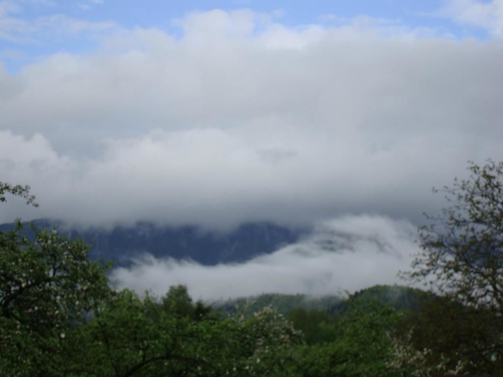 Дома для отпуска Villa VIP-Class Яремче