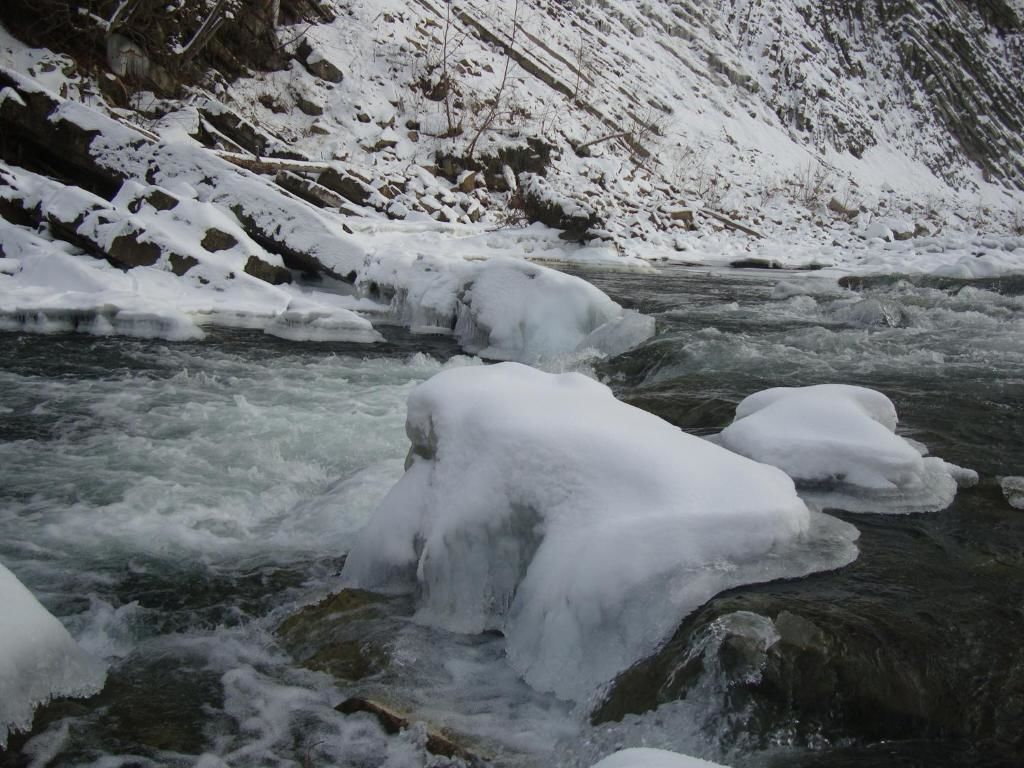 Дома для отпуска Villa VIP-Class Яремче