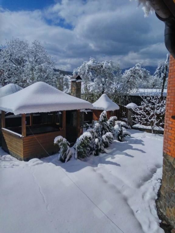 Дома для отпуска Villa VIP-Class Яремче