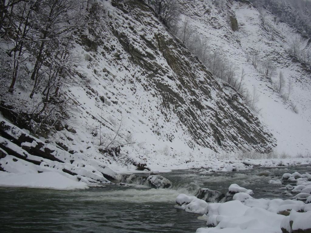 Дома для отпуска Villa VIP-Class Яремче