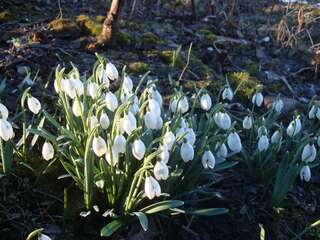 Дома для отпуска Villa VIP-Class Яремче Дом с 4 спальнями-67