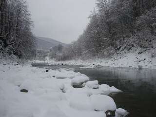 Дома для отпуска Villa VIP-Class Яремче Дом с 4 спальнями-68