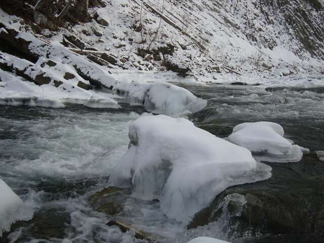 Дома для отпуска Villa VIP-Class Яремче-14