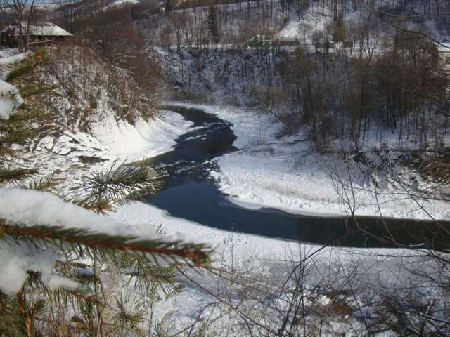 Дома для отпуска Villa VIP-Class Яремче-77